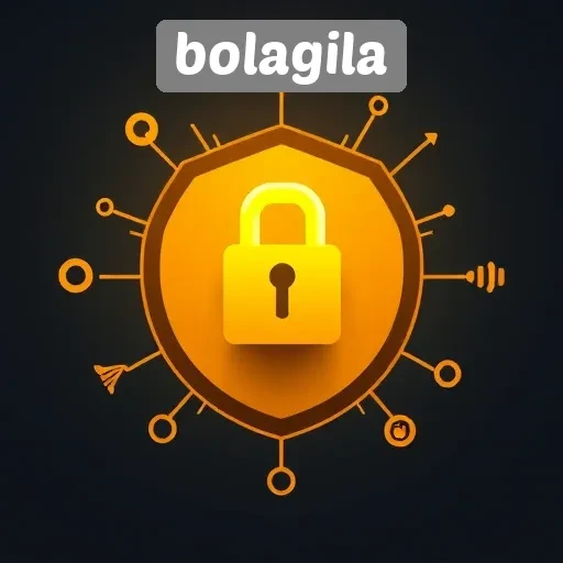 Keamanan dan Privasi Pengguna di Bolagila